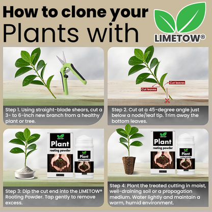 Official Store: LIMETOW® Plant Rooting Powder