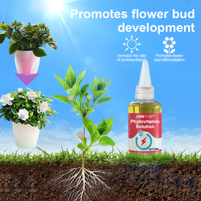 LIMETOW® Phytovitamin Solution