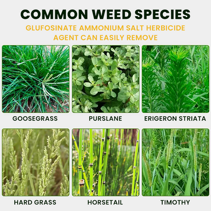 LIMETOW® Glufosinate Ammonium Salt Herbicide Agent