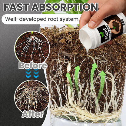 Official Store: LIMETOW® Plant Rooting Powder