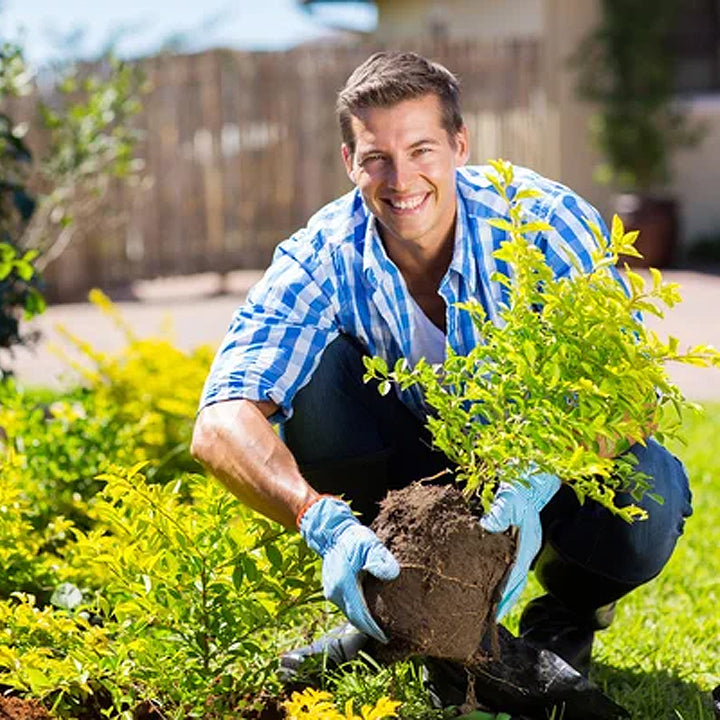 LIMETOW® Soil Activator