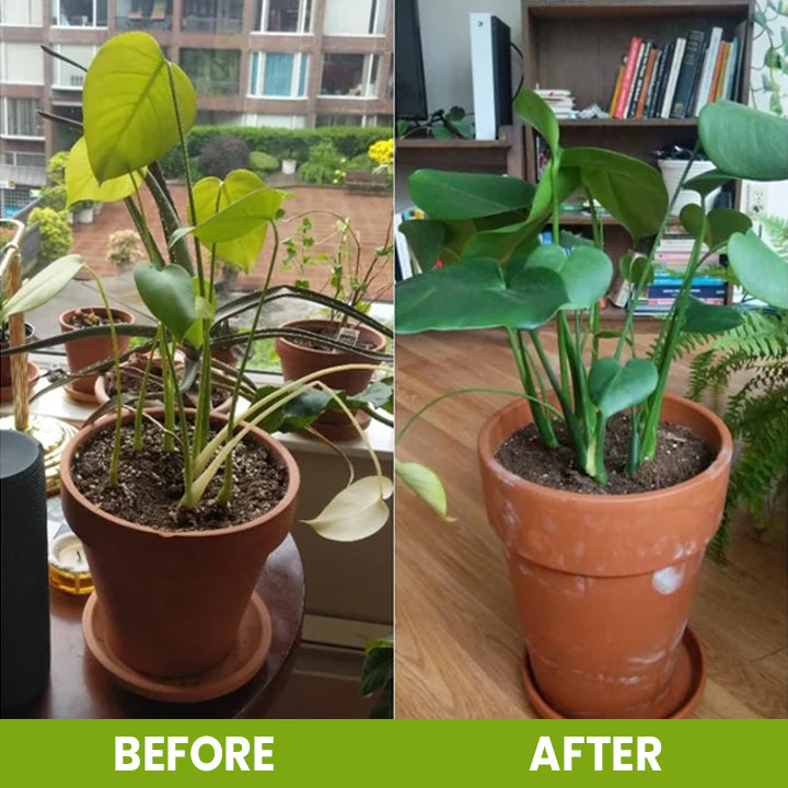LIMETOW® Soil Activator