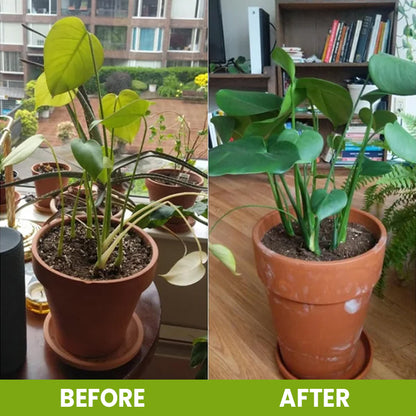 LIMETOW® Soil Activator