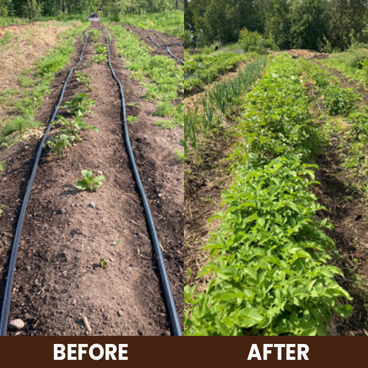 LIMETOW® Soil Activator