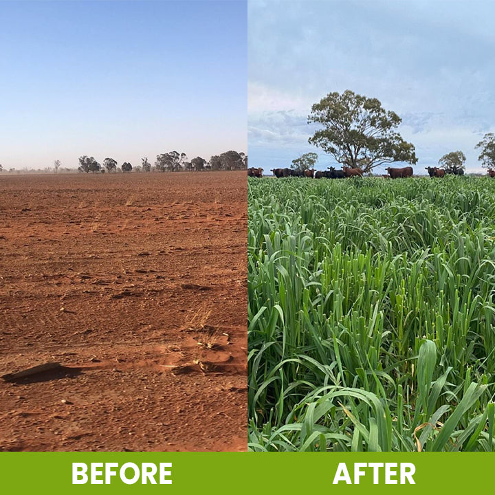 LIMETOW® Soil Activator