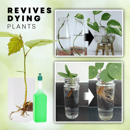 Hydroponic Liquid Fertilizer (Limited Time Offer!!!)
