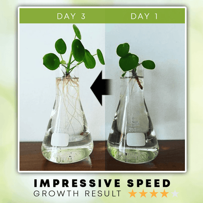 Hydroponic Liquid Fertilizer (Limited Time Offer!!!)