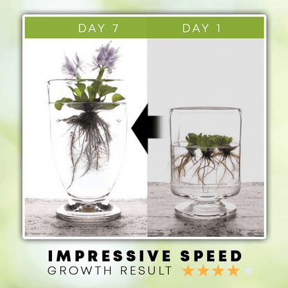 Hydroponic Liquid Fertilizer (Limited Time Offer!!!)